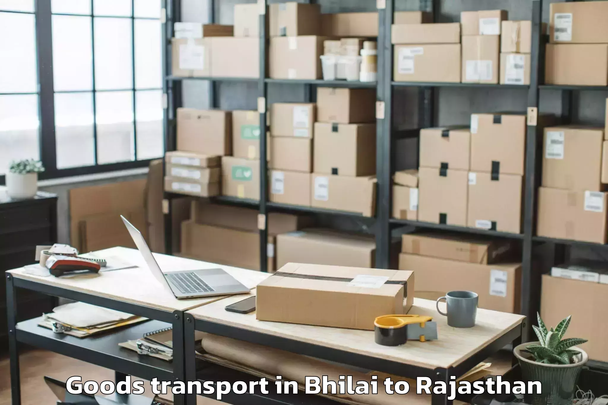 Book Bhilai to Banswara Goods Transport